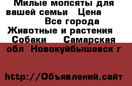 Милые мопсяты для вашей семьи › Цена ­ 20 000 - Все города Животные и растения » Собаки   . Самарская обл.,Новокуйбышевск г.